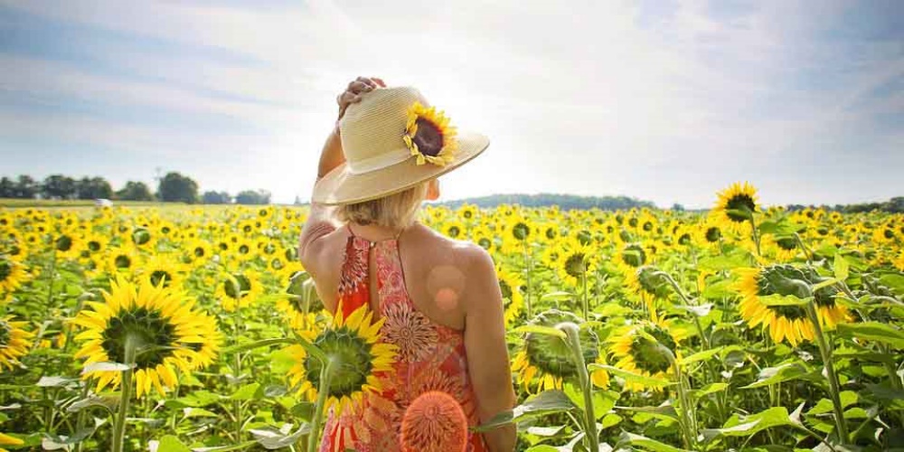 girasole